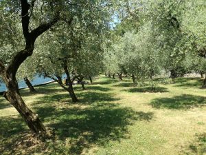 monteisola-iseo-guide-6